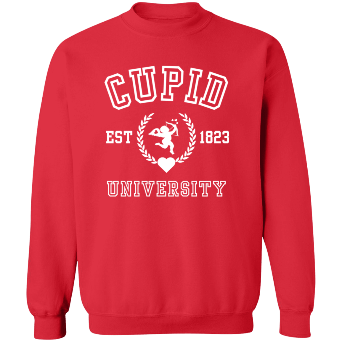 Cupid University T-Shirt| Sweatshirt| Hoodie-Valentine Day, Birthday or any Occasion. Get Ten Percent Off When Buying Two Or More
