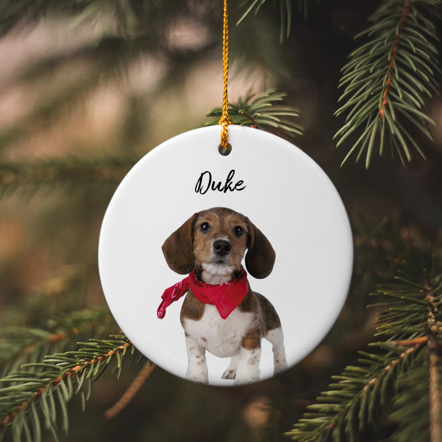 Personalized Pet Ornament Using Pet's Photo + Name, Custom Ornament, Christmas Dog Ornament Personalized Dog Ornament