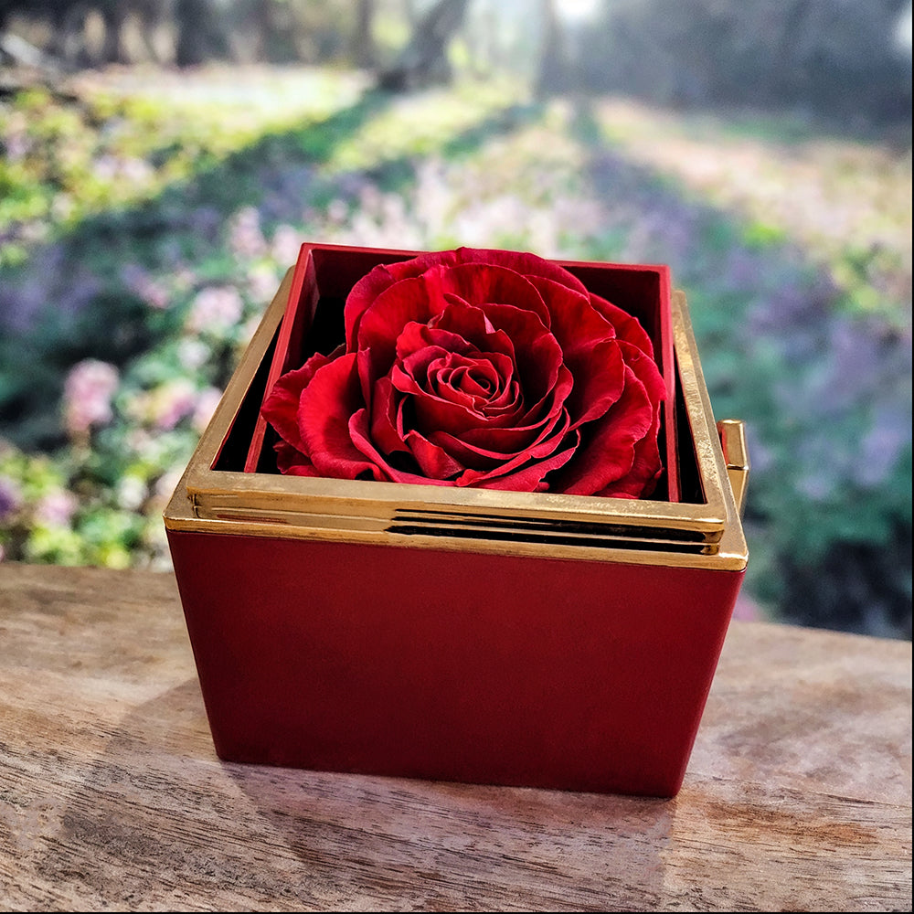 Beautiful Wife Love Knot Necklace With Eternal Rose Luxury Gift Box