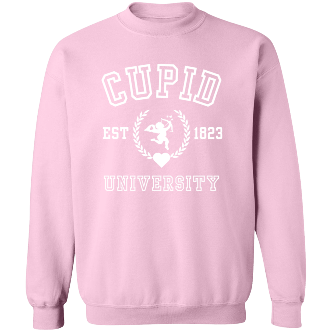 Cupid University T-Shirt| Sweatshirt| Hoodie-Valentine Day, Birthday or any Occasion. Get Ten Percent Off When Buying Two Or More