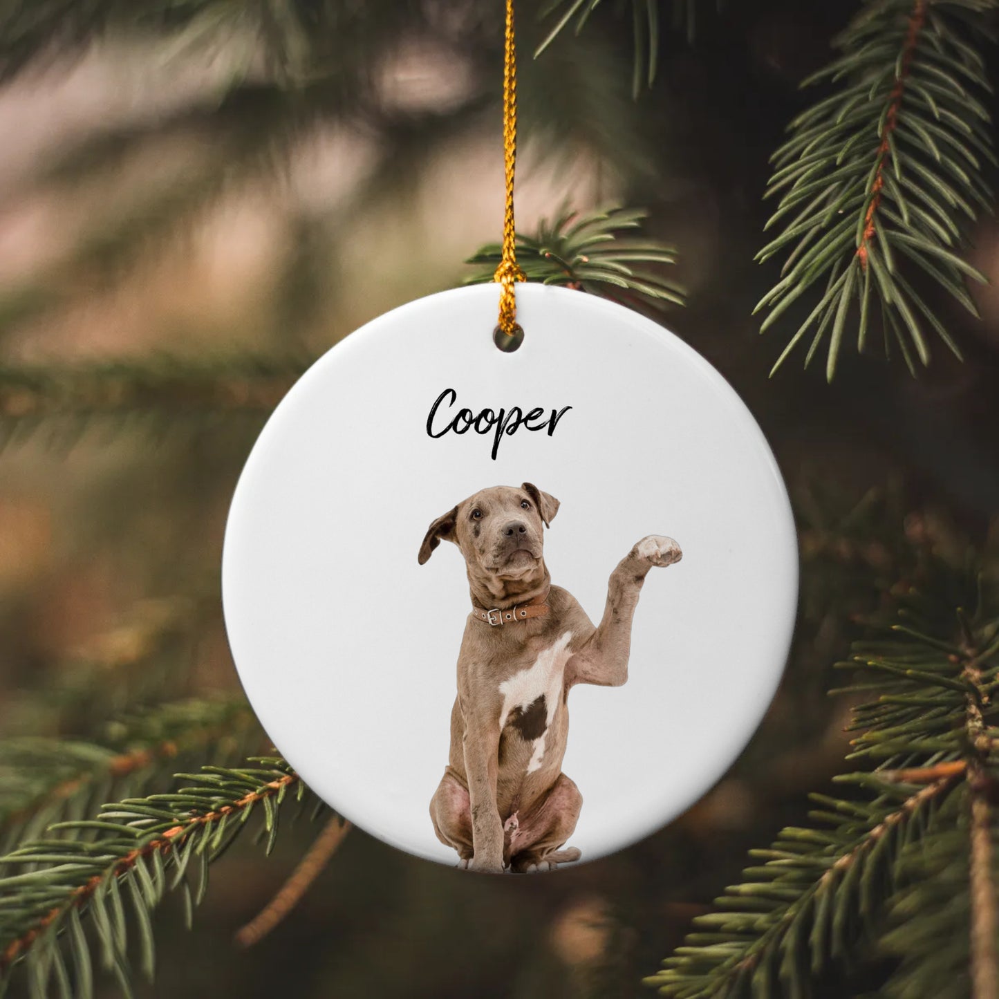 Personalized Pet Ornament Using Pet's Photo + Name, Custom Ornament, Christmas Dog Ornament Personalized Dog Ornament
