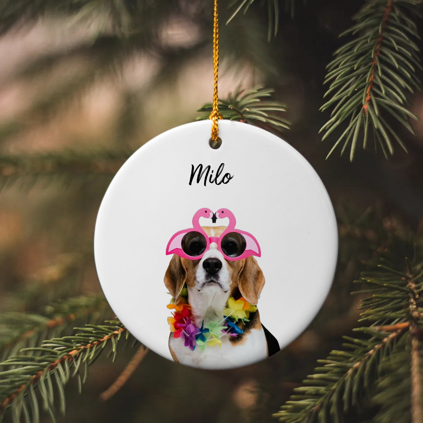Personalized Pet Ornament Using Pet's Photo + Name, Custom Ornament, Christmas Dog Ornament Personalized Dog Ornament