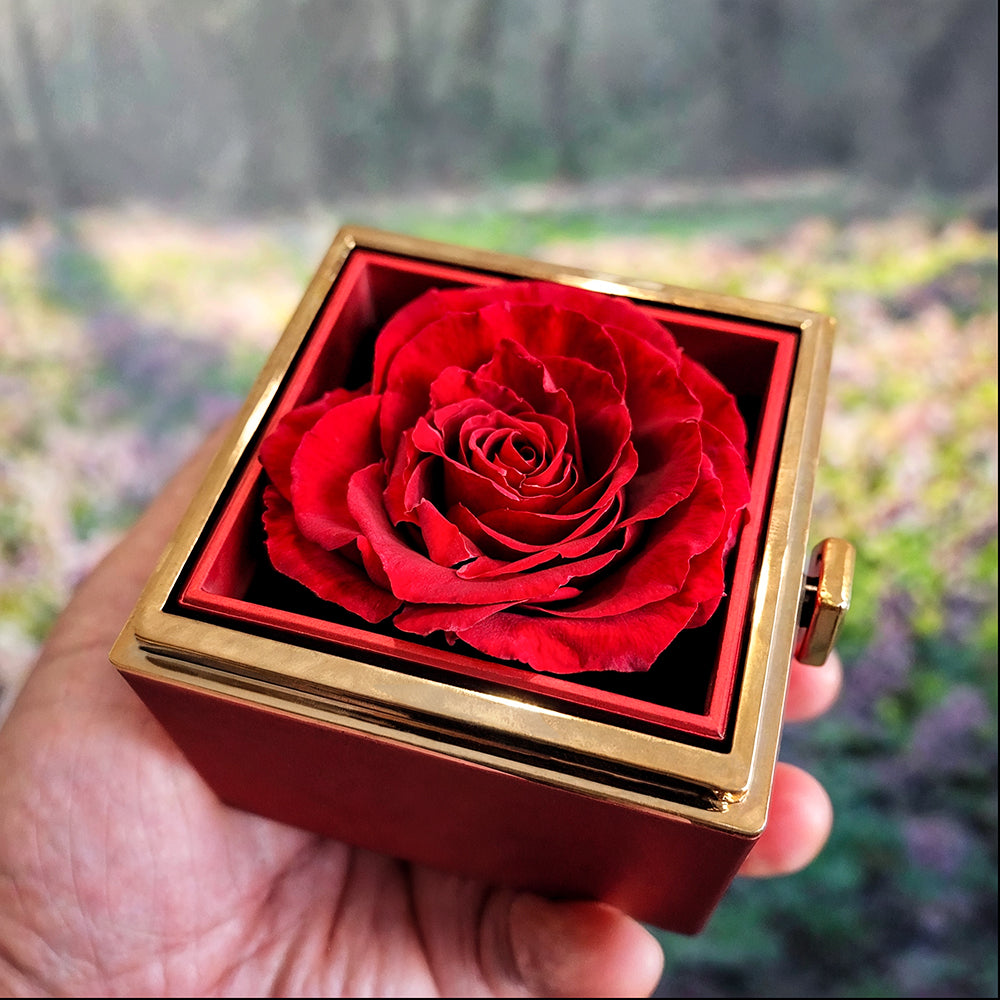 Beautiful Wife Love Knot Necklace With Eternal Rose Luxury Gift Box